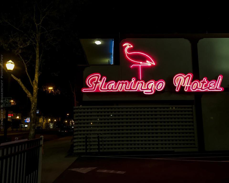 The Flamingo Motel ซานโฮเซ ภายนอก รูปภาพ