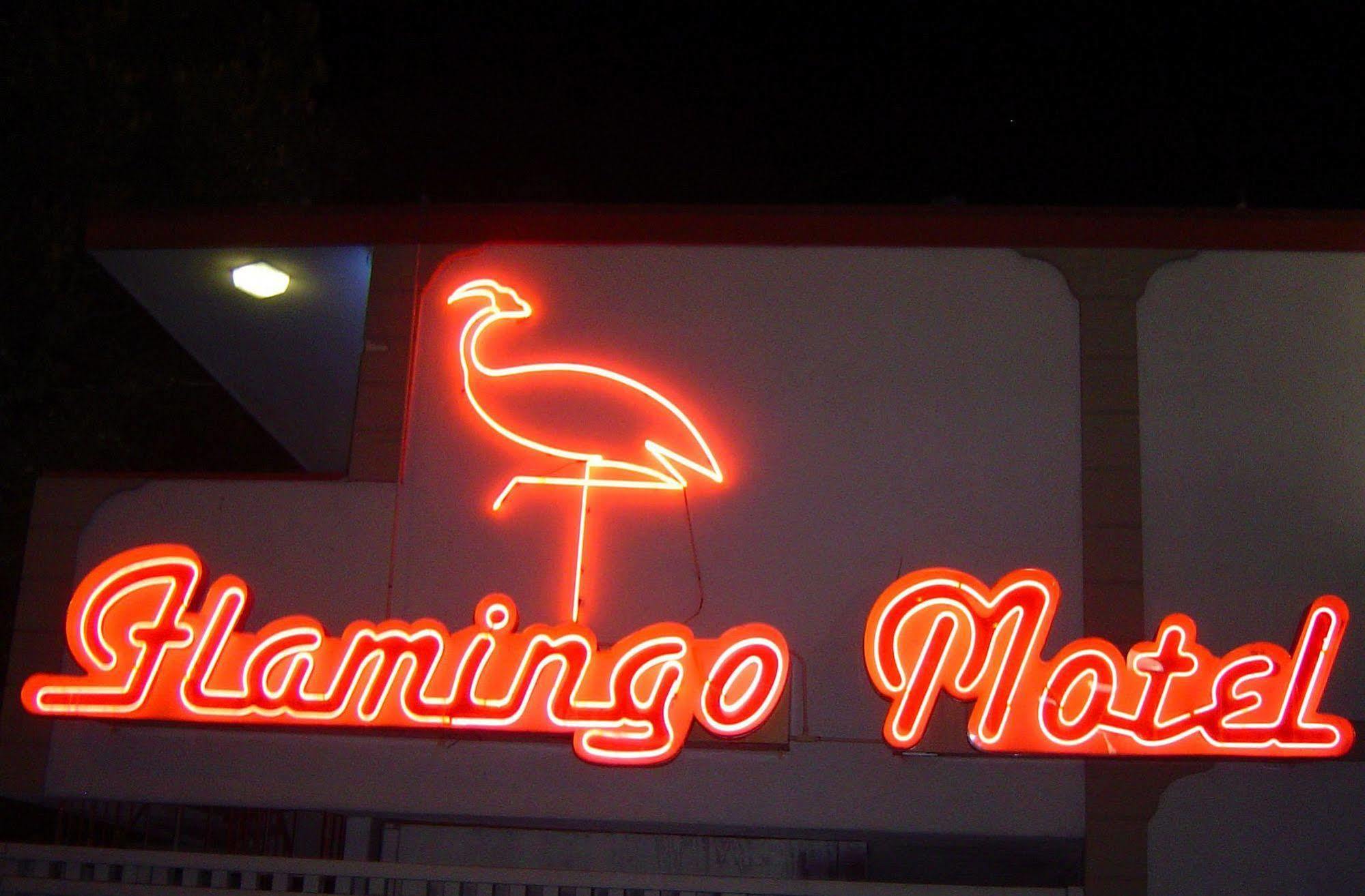 The Flamingo Motel ซานโฮเซ ภายนอก รูปภาพ